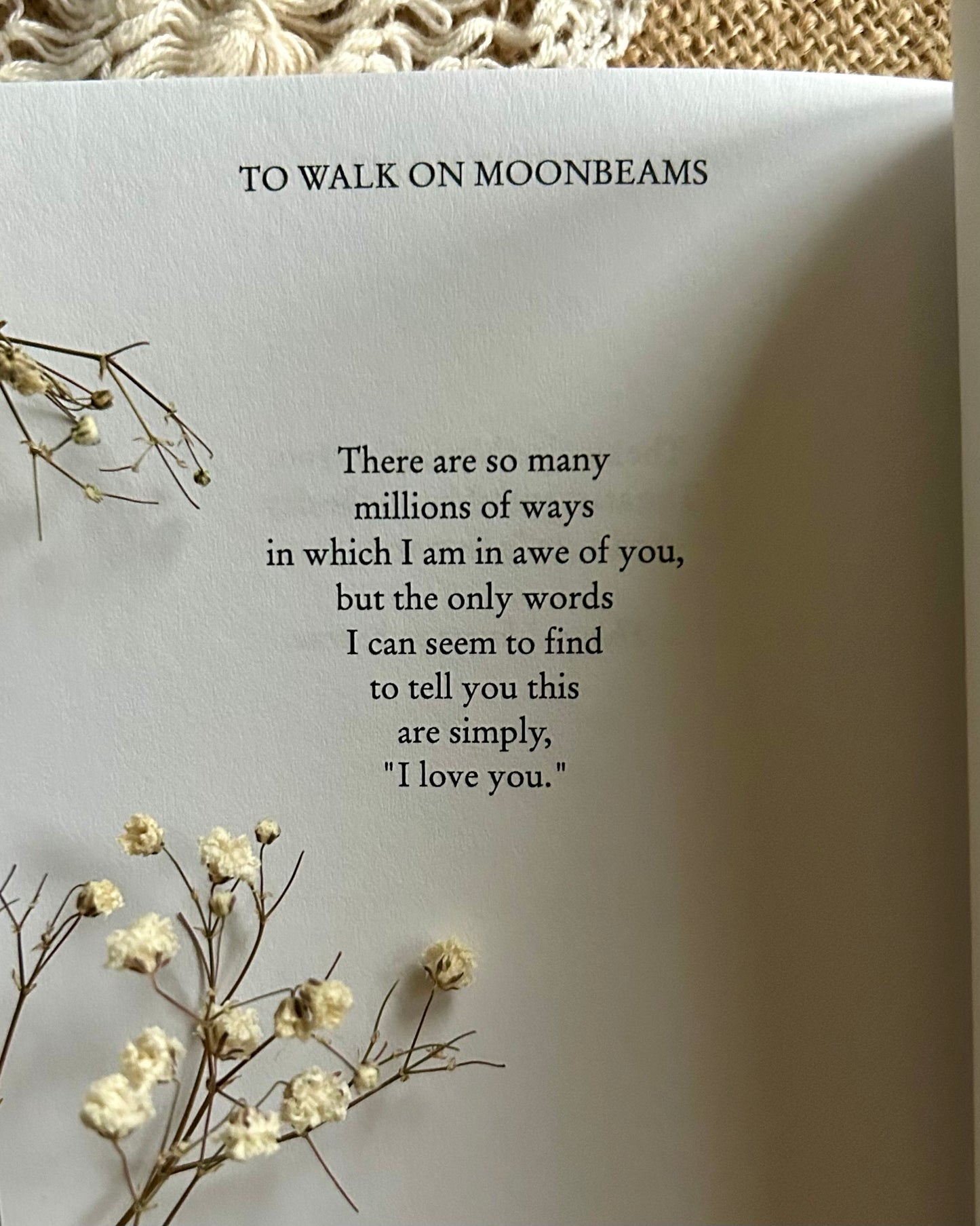 To Walk on Moonbeams
