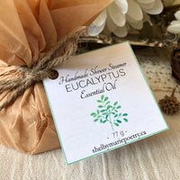 Eucalyptus - Shower Steamer